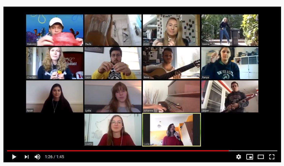 Screenshot einer Videokonferenz mit 14 Teilnehmenden. Einige halten ein Musikinstrument.